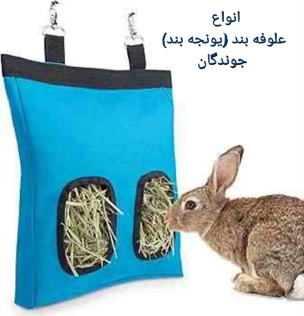 فروشگاه لوازم سگ گربه خرگوش | هایپرخرگوش (هایپرحیوانات)