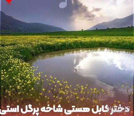 فیلم: آزار خیابانی یک دختر در سرک های شهر کابل | خبرگزاری شیعیان افغانستان | Afghanistan - Shia News Agency فیلم: آزار خیابانی یک دختر در سرک های شهر کابل | خبرگزاری شیعیان افغانستان | Afghanistan - Shia News Agency