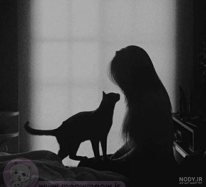 والپیپر گربه سیاه