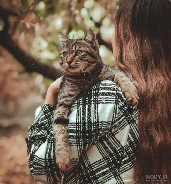 پرتره گربه خنده دار با لبخند روی کارت 1354145
