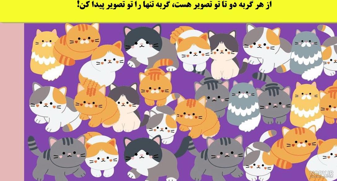 پیدا کردن گربه در عکس + جواب معمای تصویری گربه را پیدا کنید - ساینس هاب پیدا کردن گربه در عکس + جواب معمای تصویری گربه را پیدا کنید - ساینس هاب