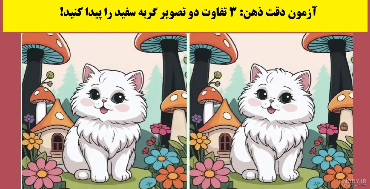 چالش: آیا می توانید گربه را در میان زباله ها پیدا کنید؟ - روزیاتو چالش: آیا می توانید گربه را در میان زباله ها پیدا کنید؟ - روزیاتو