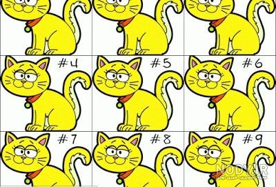گربه نژاد سیامی (Siamese) چه ویژگی هایی دارد؟ قیمت خرید این گربه چقدر است؟ | جهان شیمی فیزیک گربه نژاد سیامی (Siamese) چه ویژگی هایی دارد؟ قیمت خرید این گربه چقدر است؟ | جهان شیمی فیزیک