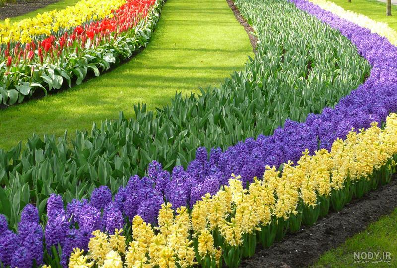 عکس خفن عکس گل و منظره زیبا برای پروفایل