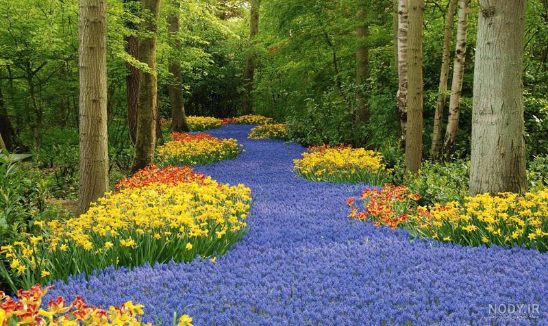 عکس خفن عکس گل و منظره زیبا برای پروفایل