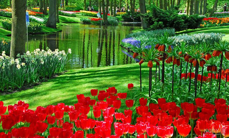 عکس خفن عکس گل و منظره زیبا برای پروفایل