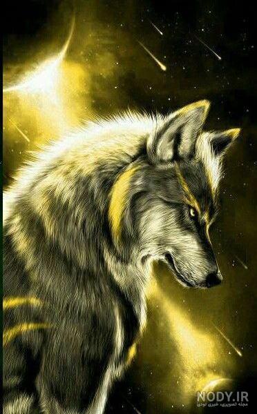 عکس گرگ سیاه واقعی