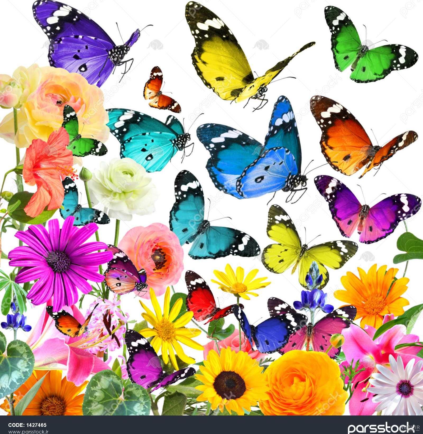 عکس خفن عکس گل و منظره زیبا برای پروفایل