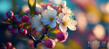 عکس خفن عکس گل و منظره زیبا برای پروفایل