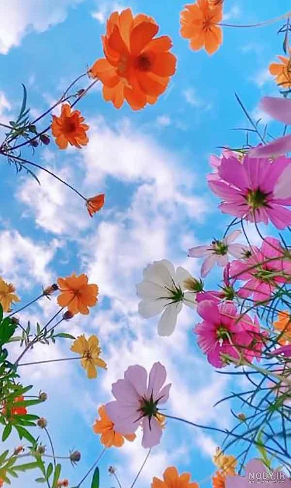 عکس خفن عکس گل و منظره زیبا برای پروفایل