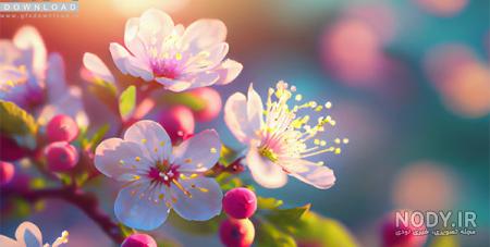 عکس خفن عکس گل و منظره زیبا برای پروفایل