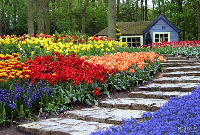 عکس خفن عکس گل و منظره زیبا برای پروفایل