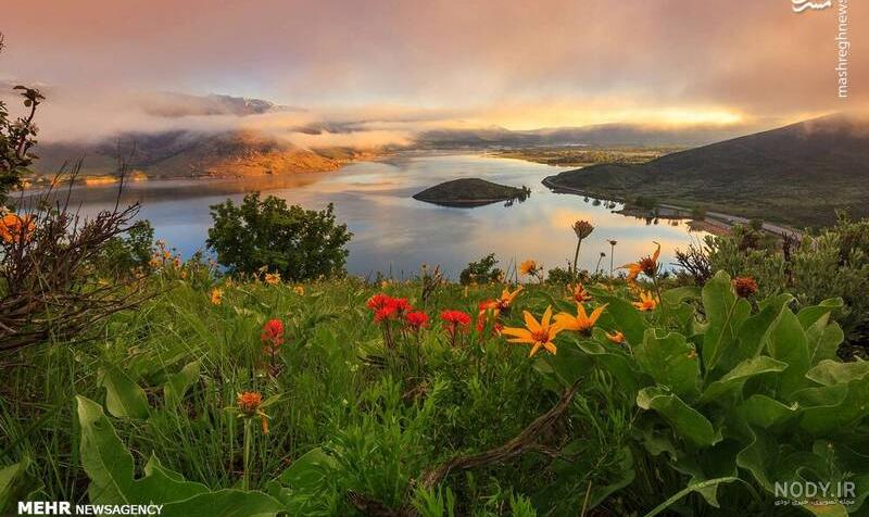 عکس خفن عکس گل و منظره زیبا برای پروفایل