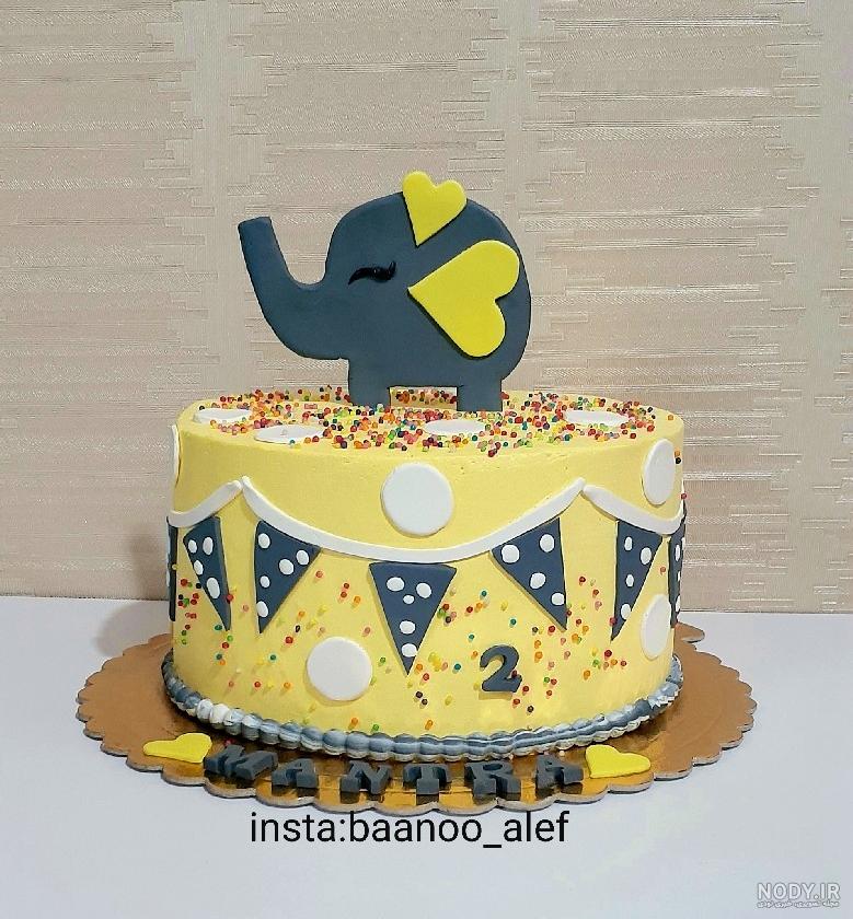 عکس و فیلم تولد پسرم