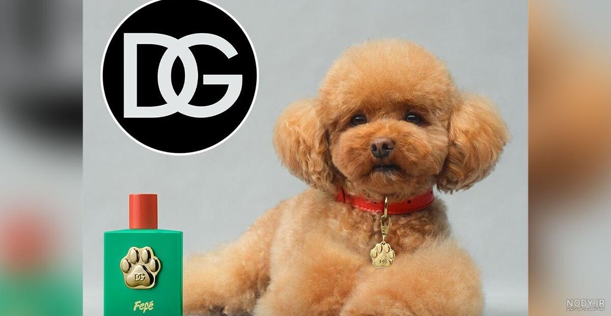 نگاهی به فیلم «کلیفورد سگ بزرگ قرمز» (Clifford The Big Red Dog)