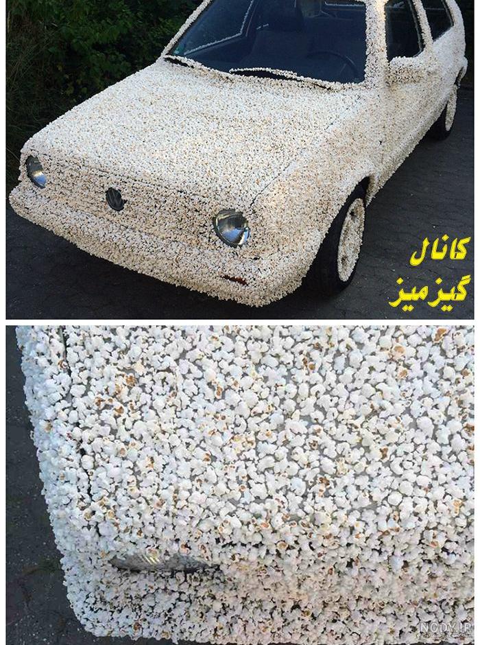 ۱۳ کار باورنکردنی که فیل‌ها می‌توانند انجام دهند!