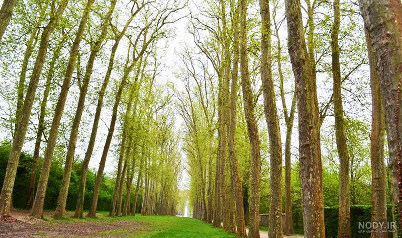  عکس تابستانی فانتزی