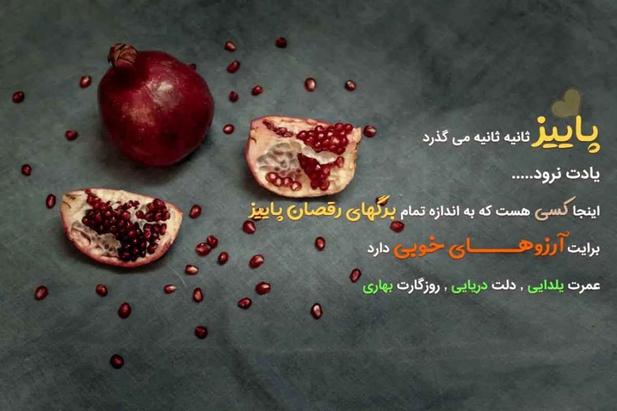 100 پیام تبریک شب یلدا ۱۴۰۳ (ادبی و عاشقانه و طنز) +کلیپ استوری - 24 نویس