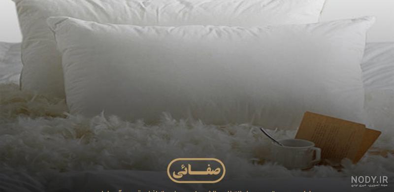 خرید و قیمت بالش پر قو برن مدل CLASSIC | ترب