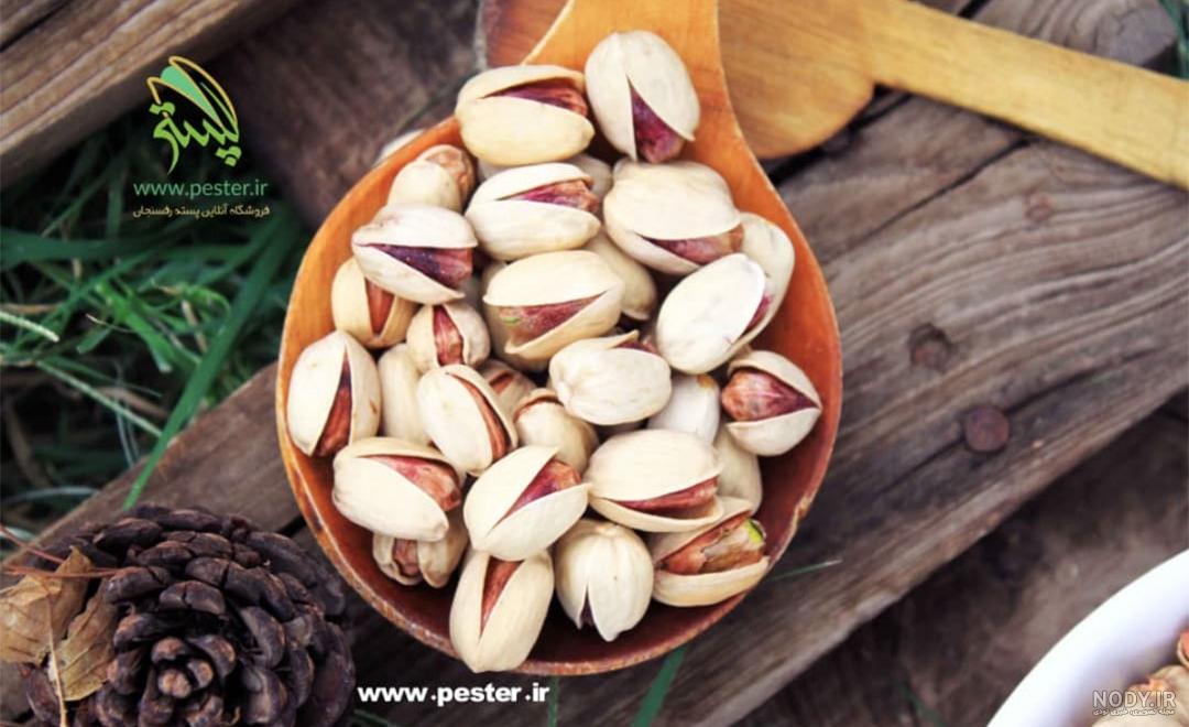خرید پسته کله قوچی درجه یک خام1403(بهترین قیمت + ارسال فوری) | آریا پسته  رفسنجان
