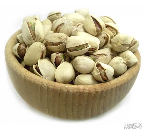 خرید پسته کله قوچی درجه یک خام1403(بهترین قیمت + ارسال فوری) | آریا پسته  رفسنجان