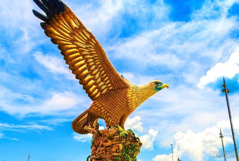 دانلود برنامه Eagle Wallpaper HD اندروید | بازار