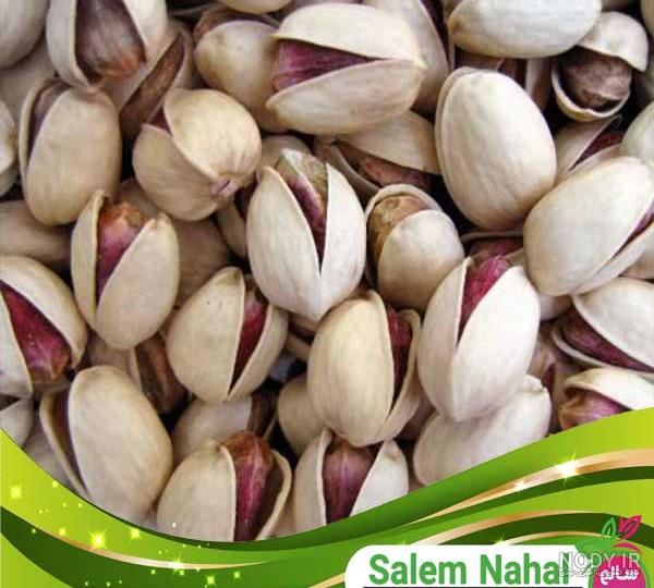 راهنمای خرید پسته کله قوچی خام اعلا | خرید پسته کله قوچی