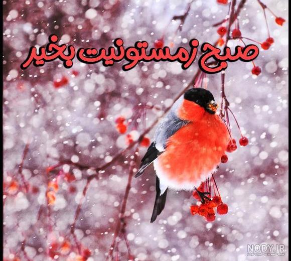 سلام صبح بخیر عاشقانه❤️+ متن صبح بخیر زیبا برای عشقم • مجله تصویر زندگی سلام صبح بخیر عاشقانه❤️+ متن صبح بخیر زیبا برای عشقم • مجله تصویر زندگی