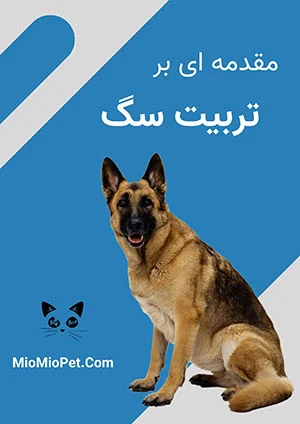 سگ سرابی - ویکی‌پدیا، دانشنامهٔ آزاد