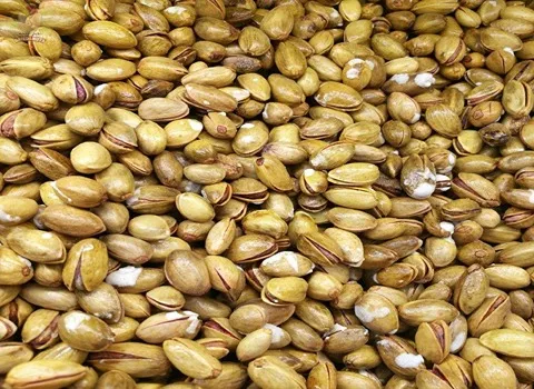 طرز تهیه چلو ماهی با ماهی سفید شمال: میخوام کنار این ماهی سفید خوشمزه یه سس مخصوص هتلی بهت یاد بدم طرز تهیه چلو ماهی با ماهی سفید شمال: میخوام کنار این ماهی سفید خوشمزه یه سس مخصوص هتلی بهت یاد بدم