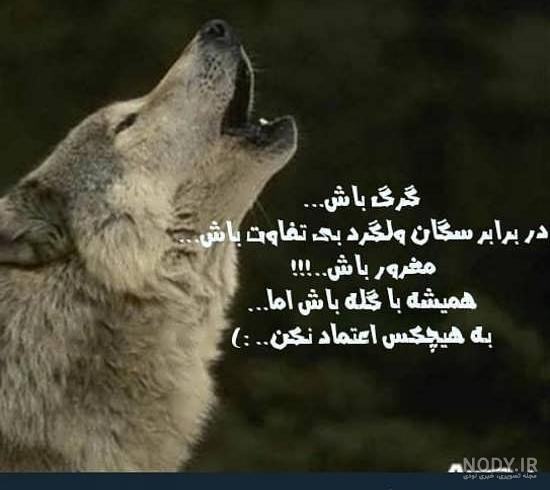 عکس نوشته قوی بودن با متن های زیبا و انرژی بخش عکس نوشته قوی بودن با متن های زیبا و انرژی بخش