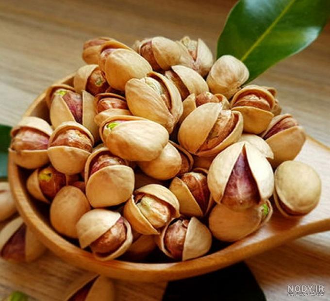 عکس کله قوچی