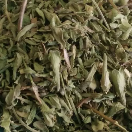 قیمت و خرید دمنوش زرین گیاه سحرانا -100 گرم