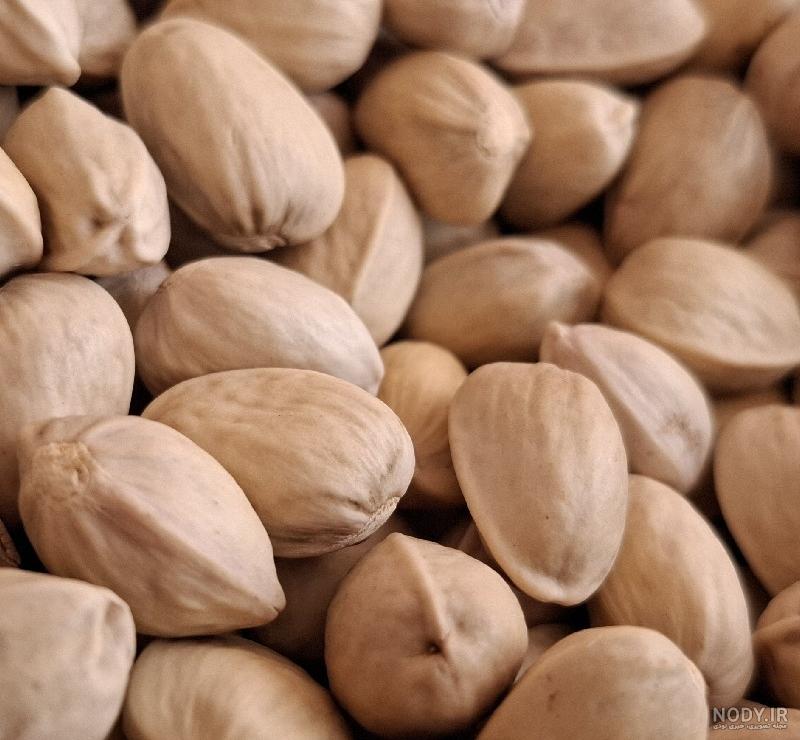 ماهی کله چاق شبیه انسان! + ماهی های عجیب ماهی کله چاق شبیه انسان! + ماهی های عجیب