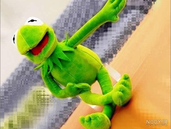 مشخصات و خرید عروسک قورباغه چشم درشت | فروشگاه اینترنتی پیویو مشخصات و خرید عروسک قورباغه چشم درشت | فروشگاه اینترنتی پیویو
