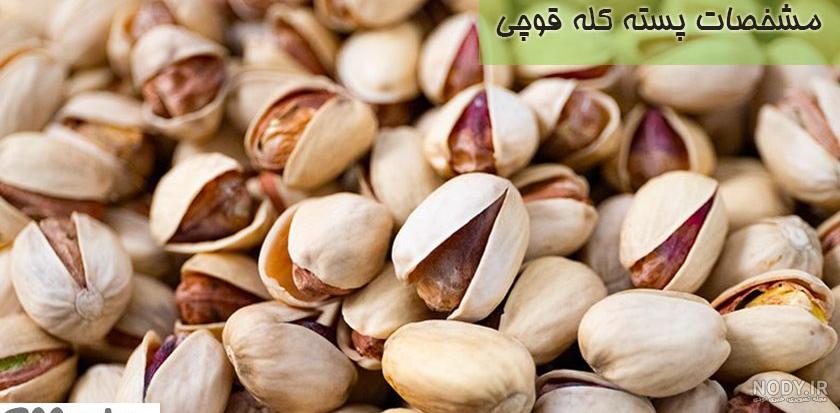 پسته کله قوچی خام درشت- خرید پسته بدون دهان بسته - قیمت پسته کله قوچی خندان  ممتاز زرین ثمر