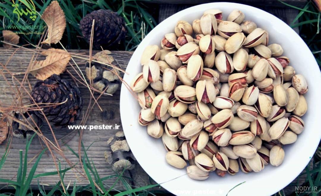 پسته کله قوچی چیست؟ | معرفی ویژگی‌ها و تفاوت‌ها - آجیل و خشکبار روغنی