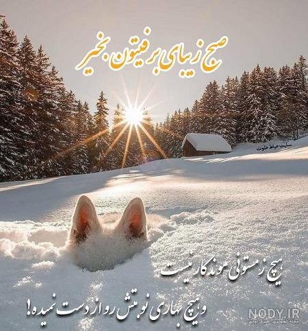 کلیپ صبح دل انگیز زمستانی/کلیپ صبح بخیر برای استوری کلیپ صبح دل انگیز زمستانی/کلیپ صبح بخیر برای استوری