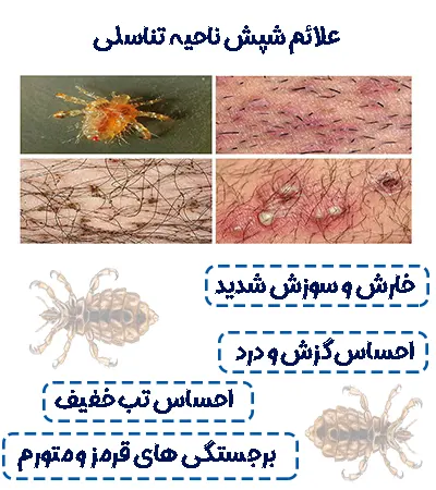 انواع انگل های پوستی سگ – شرکت ماکیان دام پارس انواع انگل های پوستی سگ – شرکت ماکیان دام پارس