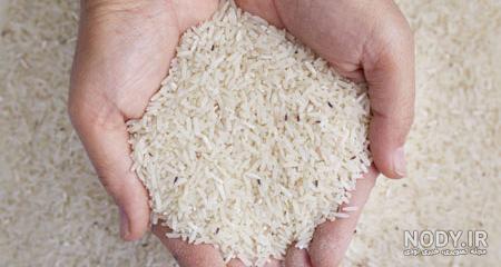 برنج شپشک زده چیکار کنم؟ خداحافظی با شپشک برنج ایرانی !