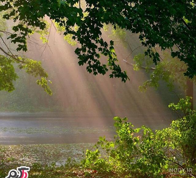 تصاویری از مناظر زیبای بهاری در جهان - مجله تصویر زندگی