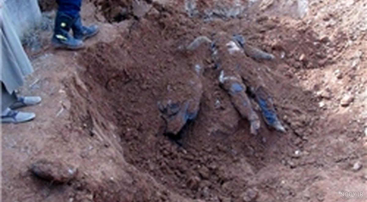 حیوان گورکن و مرده خور به نام ویجو|محل زندگی در قبرستانها