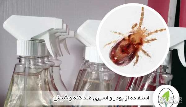 درمان از بین بردن حشرات و انگل پوستی در پرندگان زینتی و طیور خانگی - فروشگاه چیکن دیوایس درمان از بین بردن حشرات و انگل پوستی در پرندگان زینتی و طیور خانگی - فروشگاه چیکن دیوایس