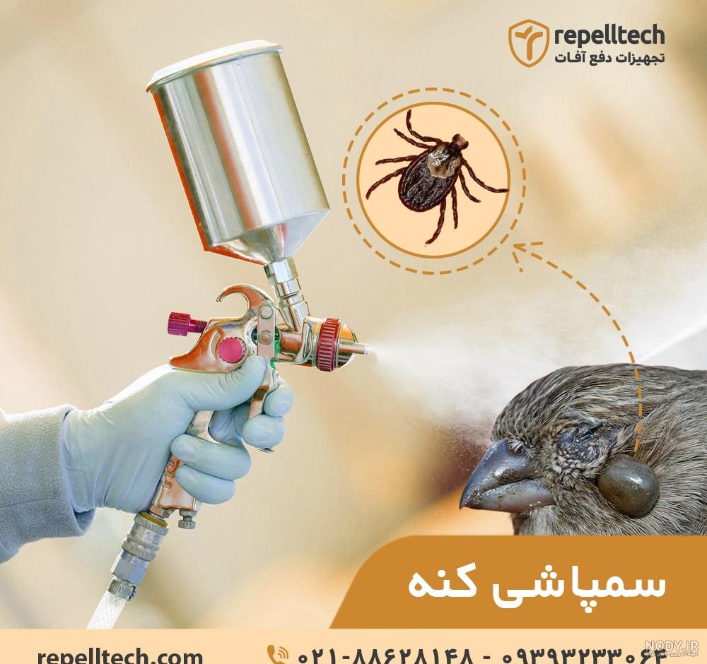 سمپاشی کنه کبوتری سمپاشی کنه کبوتری