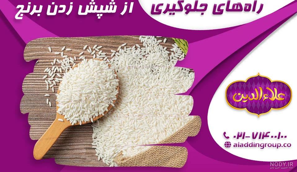 شپشک برنج چیست و چگونه می توان آنها را از بین برد؟