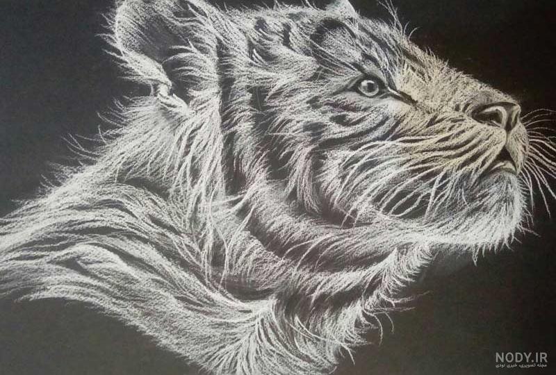 طراحی سیاه قلم احد جاهد Ahad Jahed drawing - my work سیاه قلم . مداد کنته  سبک : سوررئال سایز:30*40 | فیس‌بوک