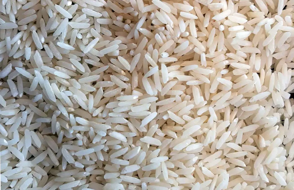 عوارض کرم برنج - مواد غذایی خوشبخت