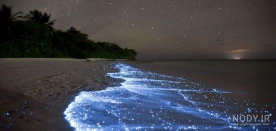 عکس شب لب دریا
