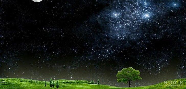 پوستر دیواری سه بعدی با طرح شب مهتابی و درخت های آبی و گوزن ها در
