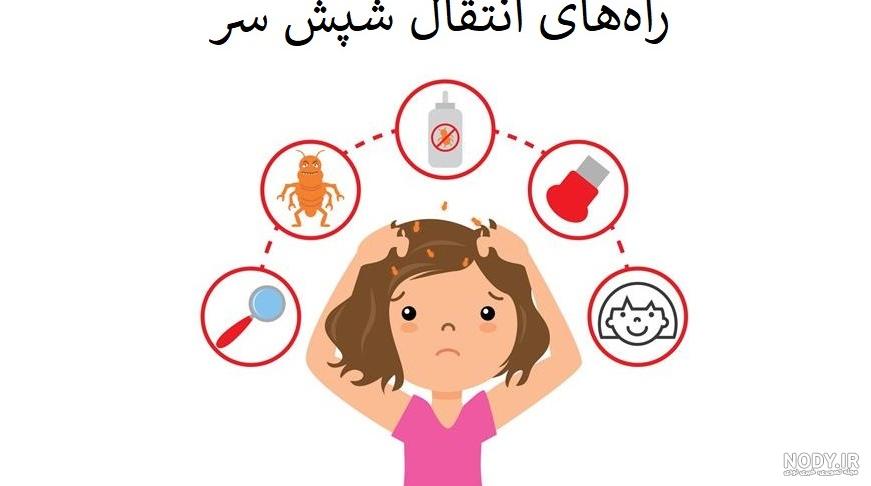 کنترل شپش سر در مدارس | شیوع شپش در مدارس - شپش سر | شامپوی درمان تخم شپش کنترل شپش سر در مدارس | شیوع شپش در مدارس - شپش سر | شامپوی درمان تخم شپش